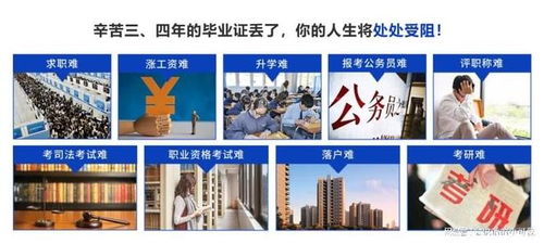 2025年北京档案存放服务指南 升职猫全程跟进，助力信息咨询