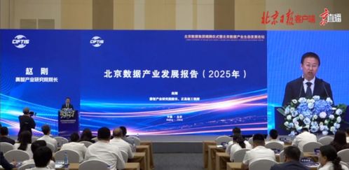 擘画高质量发展新蓝图 北京数据产业发展报告（2025年）发布与信息技术咨询服务展望