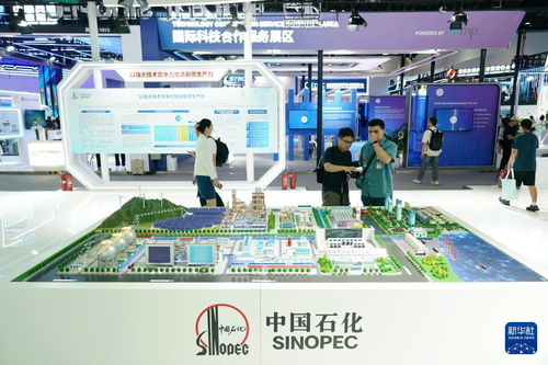 第二十六届北京科博会开幕 信息技术咨询服务引领科技新风尚
